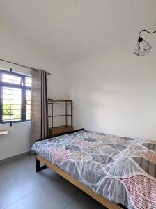 Ảnh trong thư viện ảnh của Jabali ở Roches Noires