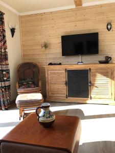 sala de estar con TV en una pared de madera en Country Earth, en Grömitz