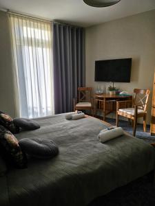 TV a/nebo společenská místnost v ubytování Hotel Zur Luppbode