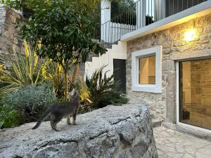 Gallery image of Strp House in Strp