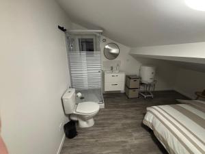 una camera con letto, servizi igienici e lavandino di Petite maison au calme a Pont-de-Larn