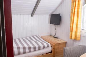 a small room with a bed and a tv at Ferienhaus Holnis 13 in Holnishof