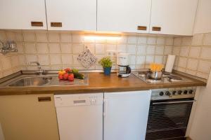 eine Küche mit Spüle und Arbeitsplatte in der Unterkunft Appartment 1614, Ferienpark Oberallgäu, Schwimmbad, Sauna, Spielplatz in Missen-Wilhams