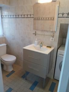 a bathroom with a sink and a toilet at La maison de Marguerite in Mont-Saint-Jean +13 photos
