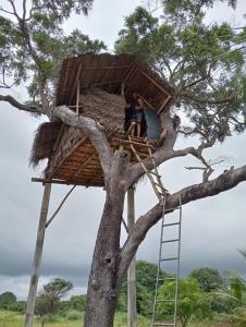 two people sitting in a tree house in a tree at Anaga home stay & eco tourism in Challi