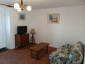 a living room with a couch and a tv at La maison de Marguerite in Mont-Saint-Jean