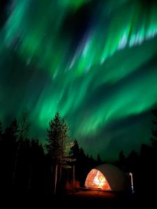 Foto Rovaniemis asuva majutusasutuse Aurora Igloo Fireplace-heated Tents in a secret forest with private Jacuzzi and shared sauna bathroom and dog friendly galeriist