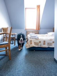 a dog standing next to a bed in a room at Hotel Galion in Gdańsk