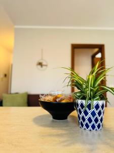 a bowl of food and a plant on a table at Mimì apartment - Vicino a Gardaland in Peschiera del Garda +7 photos