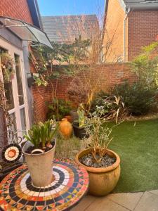 ノリッジにあるChloes Retreatの鉢植えの庭園