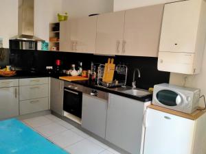 Η κουζίνα ή μικρή κουζίνα στο Seteanous Appartement T3 quartier historique +8 φωτογραφίες