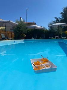 Bazén v ubytování Hotel Belvedere nebo v jeho okolí