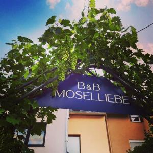 a blue sign that reads b bc mossellle at App 4 Pers 2 Schlafzimmer mit eigenen Badezimmer 2 Balkonen alle mit Moselblick in Ediger-Eller