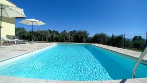 Bazén v ubytování Villa Oliveto nebo v jeho okolí + 18 fotografií