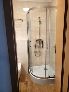 a shower with a glass door in a bathroom at Dom Pod Jeleniem in Łeba +42 photos