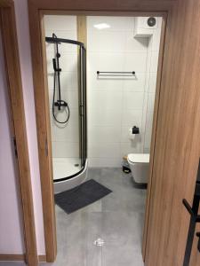a bathroom with a shower and a toilet at Świętego Mikołaja 14 Centrum in Głogów +12 photos