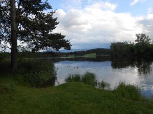 a lake with a bunch of ducks in the water at Ferienwohnung Huber am Deutensee in Steingaden