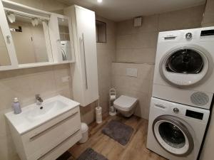 a bathroom with a sink and a washing machine at Duschkas Ferienwohnung in Am Frühlingsberg