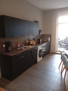 Η κουζίνα ή μικρή κουζίνα στο Spremberger City Ferienwohnung