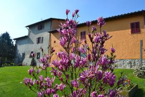 Zahrada ubytování Agriturismo La Querce