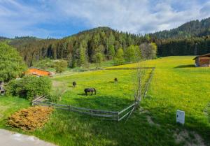 Gallery image of Huberhof 2 by Alpenidyll Apartments in Rohrmoos