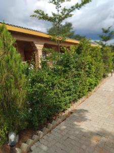 Zahrada ubytování Sunshinevibe guest house