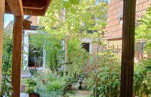 vistas a un jardín con plantas y a un edificio en KNUS tiny gardenhouse, en Doorn