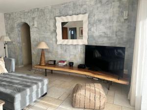 TV a/nebo společenská místnost v ubytování Clos des Oliviers