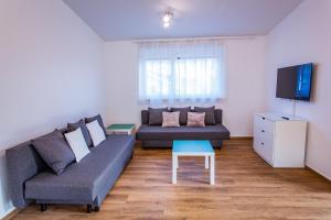 a living room with a couch and a tv at City Dream 1 by Alpenidyll Apartments in Schladming