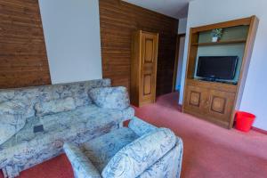 a living room with a couch and a tv at Huberhof 6 by Alpenidyll Apartments in Rohrmoos