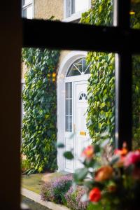 Zahrada ubytování Kilkenny House Boutique Hotel