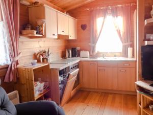 a small kitchen with a stove and a sink at Ferienhaus Nr 10, Typ A, Feriendorf Jägerpark, Bayerischer Wald in Prackenbach +8 photos
