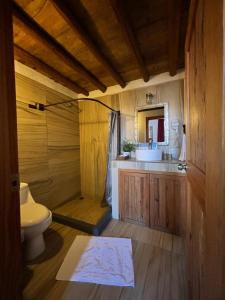 a bathroom with a shower and a toilet and a sink at Hotel bugambilias in Valle de Bravo