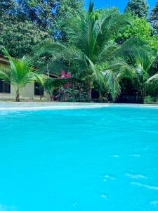 a palm tree and a house with blue water at Casa Tropical Ceiba in Puerto Jiménez