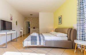 a bedroom with a bed and a desk and a television at Stunning Apartment In Medulin With Wifi in Medulin