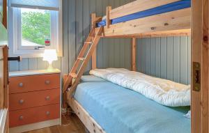a bedroom with a bunk bed with a ladder at 2 Bedroom Amazing Home In Agdenes in Fremstad