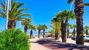 Fotografie z fotogalerie ubytování Hotel Smeraldo v destinaci Tortoreto Lido + 14 fotografií