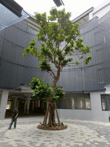 Foto sihtkohas Johor Bahru asuva majutusasutuse Sky Trees 2 Guests Nflix Balcony Aeon Pool galeriist