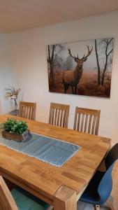 Fotografie z fotogalerie ubytování Ferienhaus Michels v destinaci Hellenthal