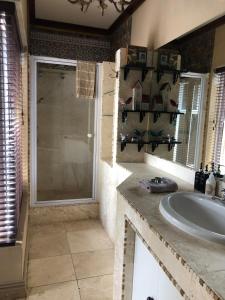 a bathroom with a sink and a glass shower at Listening Wind Self-Catering accommodation in Bettyʼs Bay