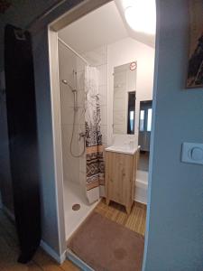 a bathroom with a shower and a sink at Domaine de la Dolce Vita de Gaudreville la rivière in Gaudreville-la-Rivière +7 photos