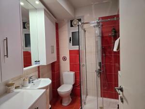 a bathroom with a shower and a toilet and a sink at CAVE one bedroom apartment in Ioannina +20 photos