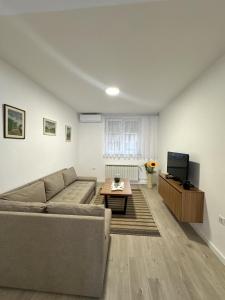 TV a/nebo společenská místnost v ubytování Apartment Dario