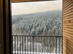 SORRY-HORY Apartmán Dolní Morava v zimě