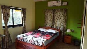 卡維洛辛的住宿－河流城堡度假屋，一间卧室设有一张带绿色墙壁和窗户的床。