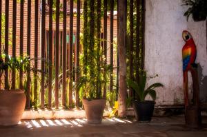 a fence with potted plants in front of a window at Pousada California in Canoa Quebrada