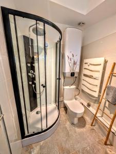 コルマールにある"appartement au centre & parking" Logement Petite Veniseのシャワーとトイレ付きのバスルーム