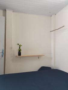 a room with a shelf and a potted plant at La Belle Pipa in Pipa