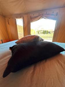 Letto o letti in una camera di Back to Basic