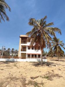 a building on the beach with a palm tree at Maluhia Lofts in Icaraí +7 photos